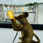 Spacious Pretty In Old Totterdown בריסטול