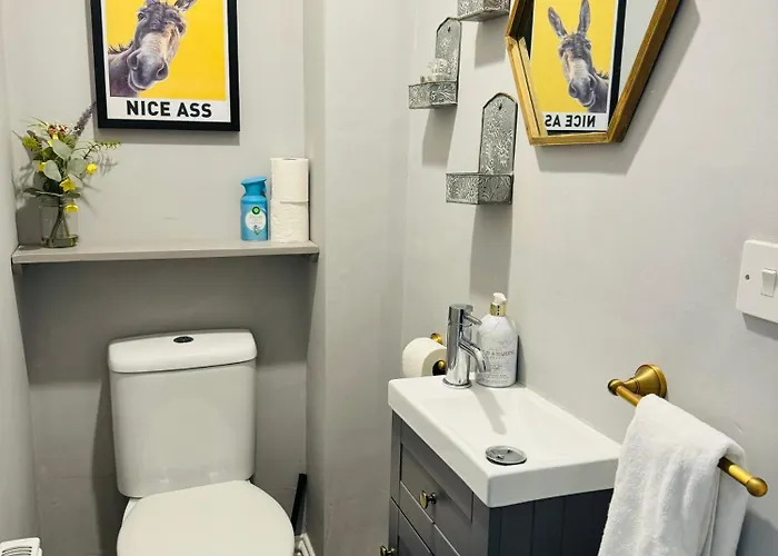 Spacious Pretty In Old Totterdown 招待所 布里斯托