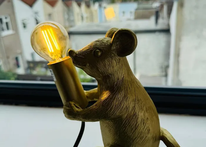 Spacious Pretty In Old Totterdown 布里斯托